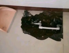 单县卫生间测漏水多少钱